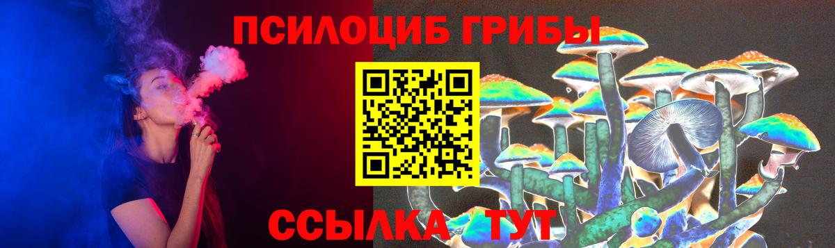 Псилоцибиновые грибы Cubensis Киреевск